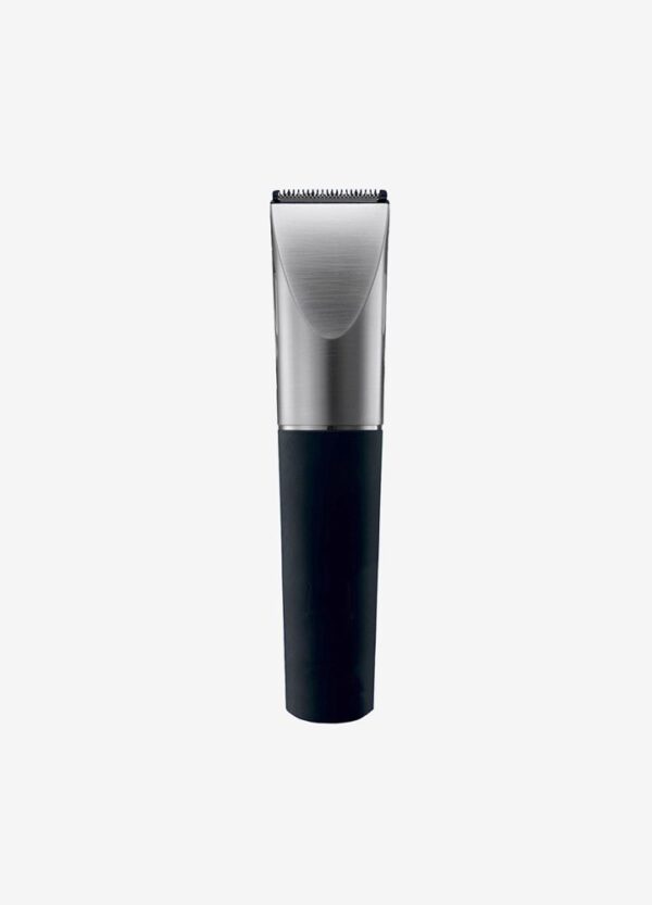 Electric razor
